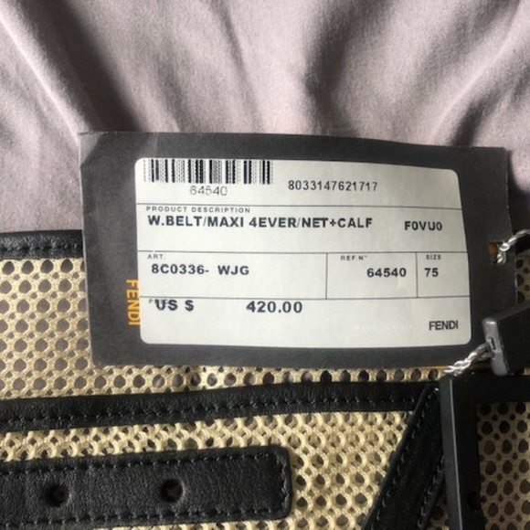 Fendi Wide Mesh Belt w/Leather Trim